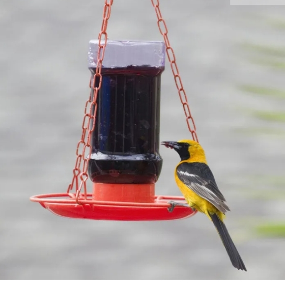 Perky Pet Oriole Feeder - Picture 2 of 5